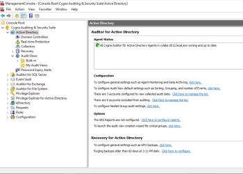 Options in the Active Directory Dashboard