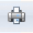 An image of the button to print the report in Auditor for SQL Server.